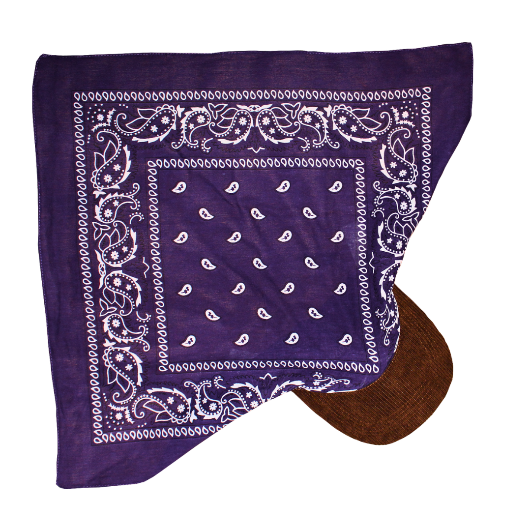Corduroy Purple